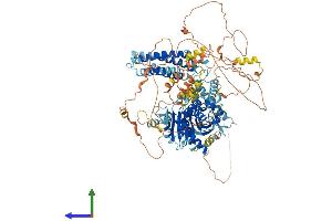 Protein Structure (PS) image for Diacylglycerol Lipase, alpha (DAGLA) (AA 1-1042) protein (His tag) (ABIN7553718)