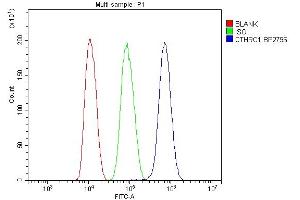 Flow Cytometry analysis of HepG2 cells using anti-CTHRC1 antibody (ABIN7601256).
