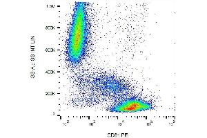 Surface staining of CD81 in human peripheral blood with anti-CD81 (M38) PE. (CD81 抗体  (PE))