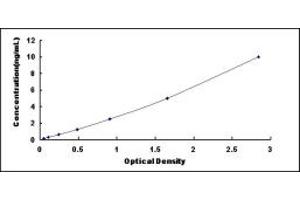 Typical standard curve (BHLHA15 ELISA 试剂盒)