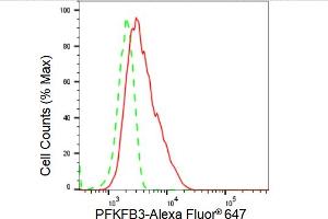 Flow cytometric analysis of PFKFB3 expression in HT- cells using PFKFB3 antibody (ABIN7797431), 1:2,000).