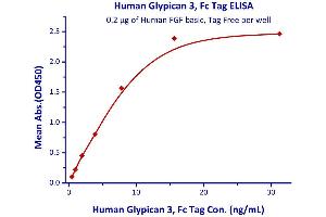 Binding Studies (Bind) image for Glypican 3 (GPC3) (AA 25-559) (Active) protein (Fc Tag) (ABIN4949101)