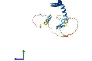 Protein Structure (PS) image for Clathrin, Light Chain B (CLTB) (AA 1-229) protein (His tag) (ABIN7553445)