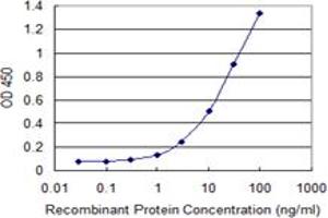Detection limit for recombinant GST tagged PKNOX1 is 0. (PKNOX1 抗体  (AA 1-436))
