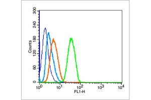 Image no. 3 for anti-Tumor Protein P53 (TP53) (N235K), (N239Y) antibody (ABIN729763)