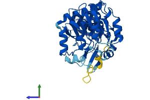 Protein Structure (PS) image for Crystallin, Zeta, Homolog (AA 1-348) protein (His tag) (ABIN7560208)