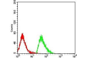Flow cytometric analysis of MOLT4 cells using CD368 mouse mAb (green) and negative control (red).