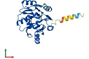 AlphaFold protein structure predicition of Human Recombinant EIF6 Protein, UniprotID P56537