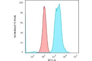 Flow Cytometric Analysis of PFA-fixed K562 cells using Fascin-1 Mouse Monoclonal Antibody (FSCN1/416) followed by Goat anti-Mouse IgG-CF488 (Blue); Isotype Control (Red) (Fascin 抗体)