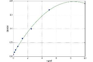 Calbindin 2 (CALB2) ELISA Kit