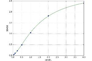 Thymidine Kinase 1, Soluble (TK1) ELISA Kit