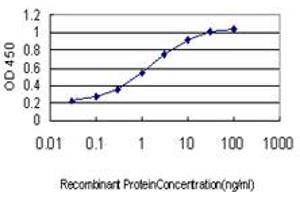 ELISA image for anti-Sprouty Homolog 1, Antagonist of FGF Signaling (SPRY1) (AA 1-110) antibody (ABIN564437)