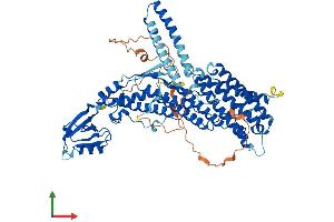 Protein Structure (PS) image for Rhophilin, rho GTPase Binding Protein 2 (RHPN2) (AA 1-686) protein (His tag) (ABIN7551384)