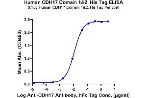 Immobilized Human CDH17 Domain 1&2, His Tag at 1 μg/mL (100 μL/well) on the plate.