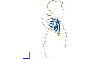 Protein Structure (PS) image for GAR1 Ribonucleoprotein Homolog (Yeast) (GAR1) (AA 1-217) protein (His tag) (ABIN7547802)