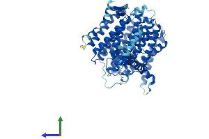 AlphaFold protein structure predicition of Human Recombinant MT-ND5 Protein, UniprotID P03915