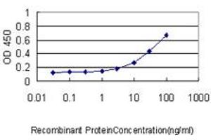 Detection limit for recombinant GST tagged ZAK is approximately 0. (ZAK 抗体  (AA 1-455))