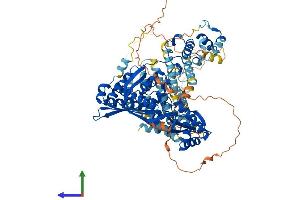Protein Structure (PS) image for 3-Hydroxy-3-Methylglutaryl-CoA Reductase (HMGCR) (AA 1-888) protein (His tag) (ABIN7554104)