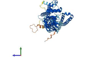 Protein Structure (PS) image for ATP-Binding Cassette, Sub-Family D (Ald), Member 4 (ABCD4) (AA 1-606) protein (His tag) (ABIN7551736)