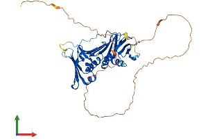 Protein Structure (PS) image for RAD9 Homolog A (S. Pombe) (RAD9A) (AA 1-391) protein (His tag) (ABIN7555147)