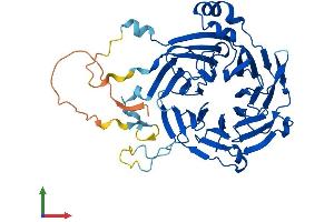 Protein Structure (PS) image for Glutamate-Rich WD Repeat Containing 1 (GRWD1) (AA 1-446) protein (His tag) (ABIN7548208)