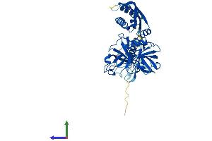 AlphaFold protein structure predicition of Mouse Recombinant Tmprss11b Protein, UniprotID Q14C59