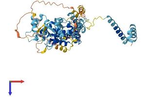 DEPDC7 Protein (AA 1-511) (His tag)