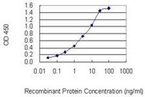 Detection limit for recombinant GST tagged P4HA3 is 0. (P4HA3 抗体  (AA 66-165))