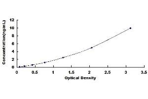 Typical standard curve (DMBT1 ELISA 试剂盒)