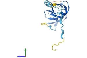 AlphaFold protein structure predicition of Human Recombinant HERVK_113 Protein, UniprotID P63121