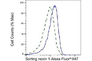 Validation of Sorting nexin 1 knockdown using flow cytometry.