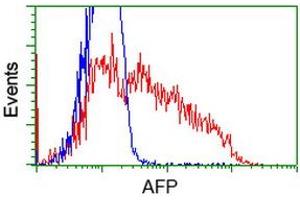 Image no. 2 for anti-alpha-Fetoprotein (AFP) antibody (ABIN1496485) (alpha Fetoprotein 抗体)