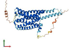 AlphaFold protein structure predicition of Mouse Recombinant Gpr45 Protein, UniprotID Q9EQQ4