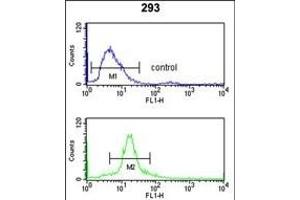 SSB Antibody (N-term) (ABIN1882133 and ABIN2839422) flow cytometry analysis of 293 cells (bottom histogram) compared to a negative control cell (top histogram). (SSB 抗体  (N-Term))
