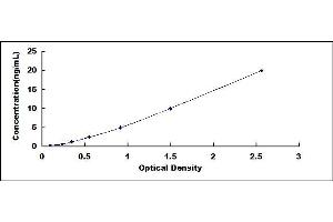 Typical standard curve (ADSSL1 ELISA 试剂盒)