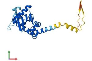 Protein Structure (PS) image for Adaptor-Related Protein Complex 3, sigma 1 Subunit (AP3S1) (AA 1-193) protein (His tag) (ABIN7561349)