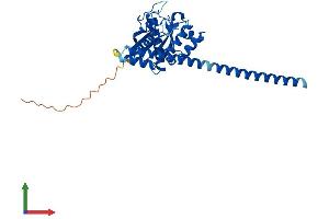 Protein Structure (PS) image for GTPase, IMAP Family Member 5 (GIMAP5) (AA 1-307) protein (His tag) (ABIN7547924)