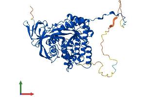Protein Structure (PS) image for Dihydropyrimidinase-Like 5 (DPYSL5) (AA 1-564) protein (His tag) (ABIN7561399)