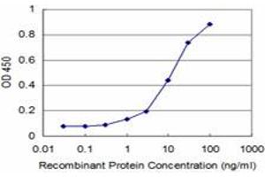 Detection limit for recombinant GST tagged NKX3-1 is approximately 1ng/ml as a capture antibody. (NKX3-1 抗体  (AA 100-209))