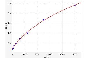 Typical standard curve (PSIP1 ELISA 试剂盒)
