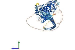 Protein Structure (PS) image for ArfGAP with Coiled-Coil, Ankyrin Repeat and PH Domains 2 (ACAP2) (AA 1-778) protein (His tag) (ABIN7551895)