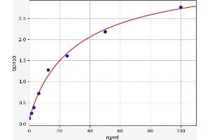 Typical standard curve (Mitogen-Activated Protein Kinase (MAPK) ELISA 试剂盒)