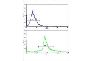Flow Cytometry (FACS) image for anti-BCL2-Associated X Protein (BAX) (AA 41-76) antibody (ABIN3030145)