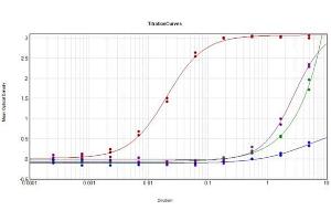 ELISA Results of Donkey Anti-Sheep IgG Antibody (Min X Ch GP Ham Hs Hu Ms Rb Rt Serum Proteins) tested against purified Sheep IgG Mx8.