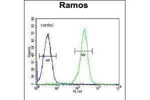 Flow cytometric analysis of Ramos cells (right histogram) compared to a negative control cell (left histogram). (PAX5 抗体  (AA 178-207))
