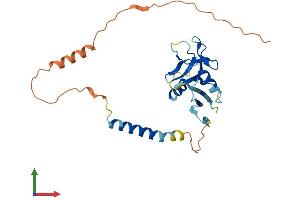Protein Structure (PS) image for Killer Cell Lectin-Like Receptor Subfamily C, Member 3 (KLRC3) (AA 1-240) protein (His tag) (ABIN7549862)