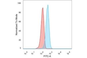 Flow Cytometry (FACS) image for anti-Chemokine (C-C Motif) Receptor 5 (CCR5) antibody (ABIN6939154)