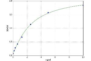A typical standard curve