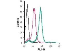 Cell surface detection of TREM2 in live intact human THP-1 monocytic leukemia cells: (black line) Cells. (TREM2 抗体  (Extracellular) (FITC))