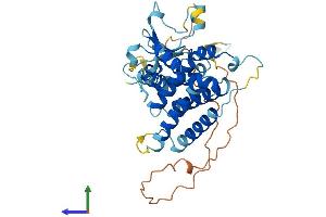 AlphaFold protein structure predicition of Human Recombinant FBXO25 Protein, UniprotID Q8TCJ0
